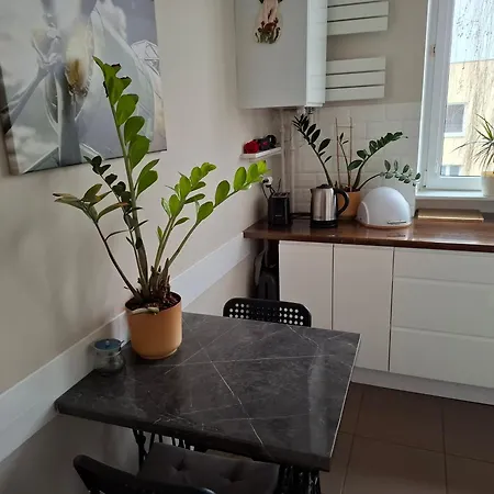 Zeromskiego - *